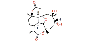 Briarellin M